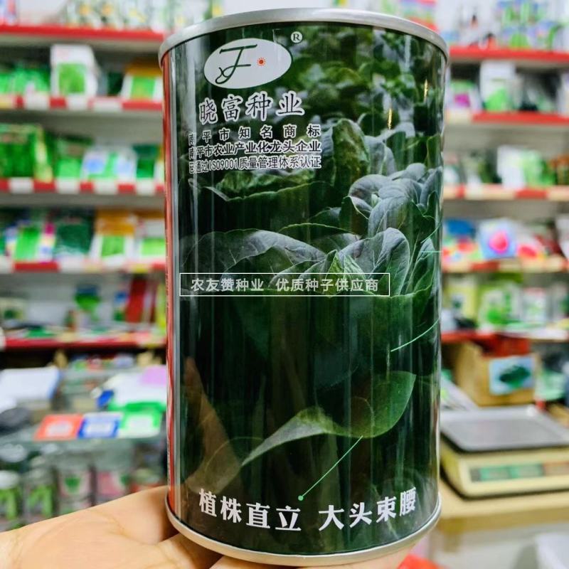 菜农专用苏州青种子晓富墨玉苏州青菜种子口感甜嫩叶色绿油亮