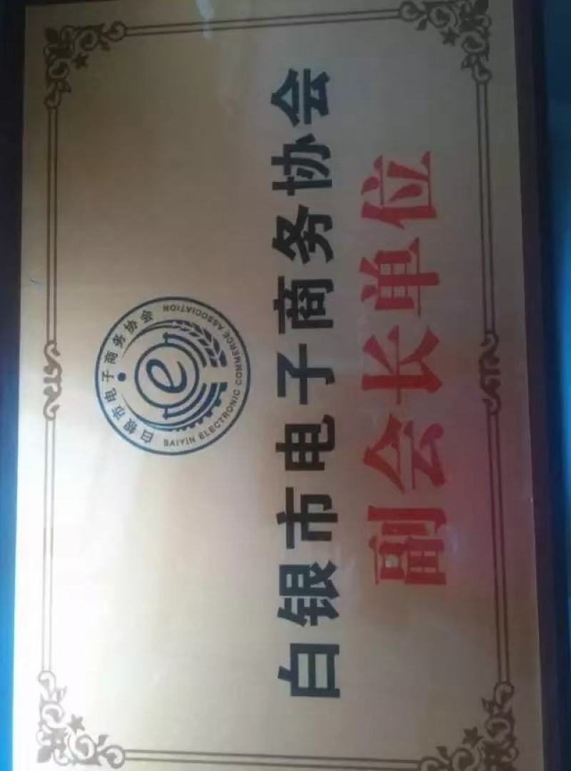骏枣鲜枣长枣山西醉枣原料骏枣紫晶枣加工原料