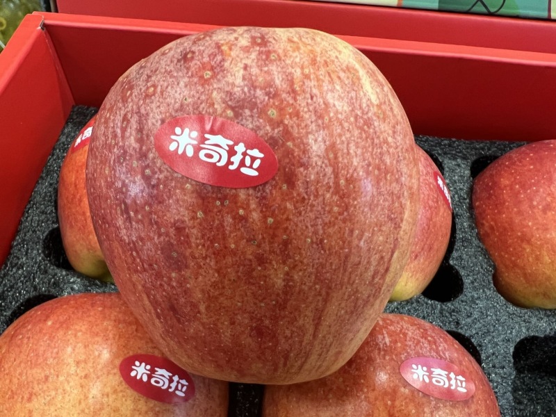 黑庄户大苹果