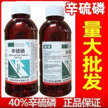 40%辛硫磷地下害虫地老虎金针虫蛴螬蝼蛄根蛆灌根专用杀虫