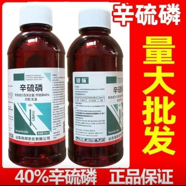 40%辛硫磷地下害虫地老虎金针虫蛴螬蝼蛄根蛆灌根专用杀虫