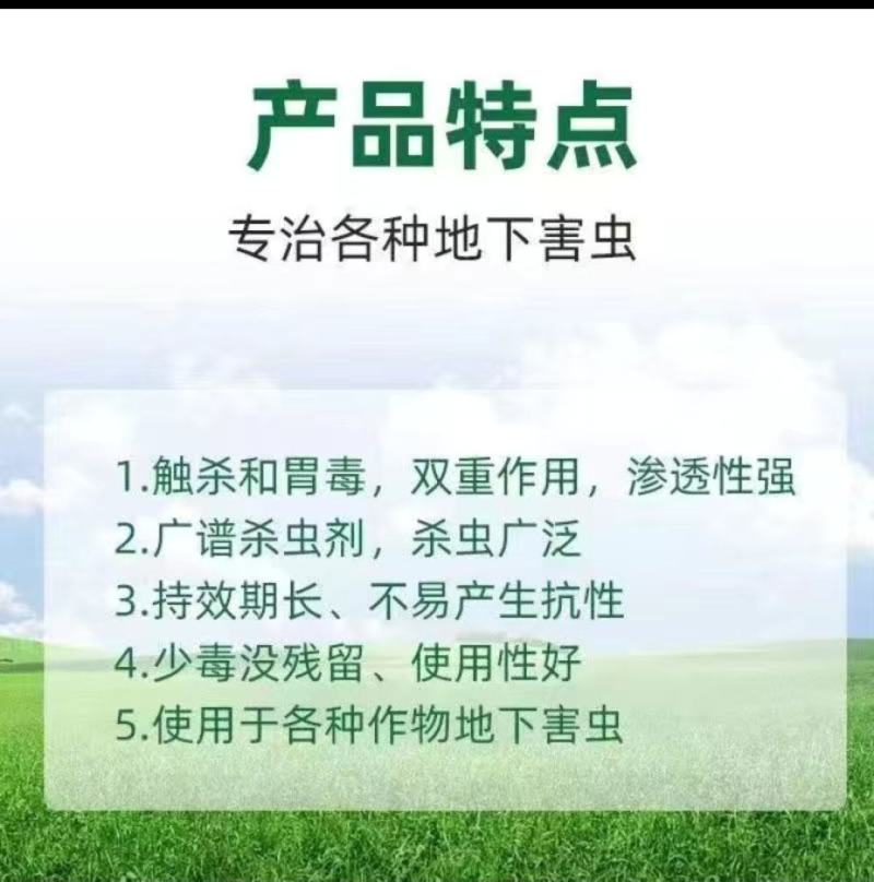 40%辛硫磷地下害虫地老虎金针虫蛴螬蝼蛄根蛆灌根专用杀虫