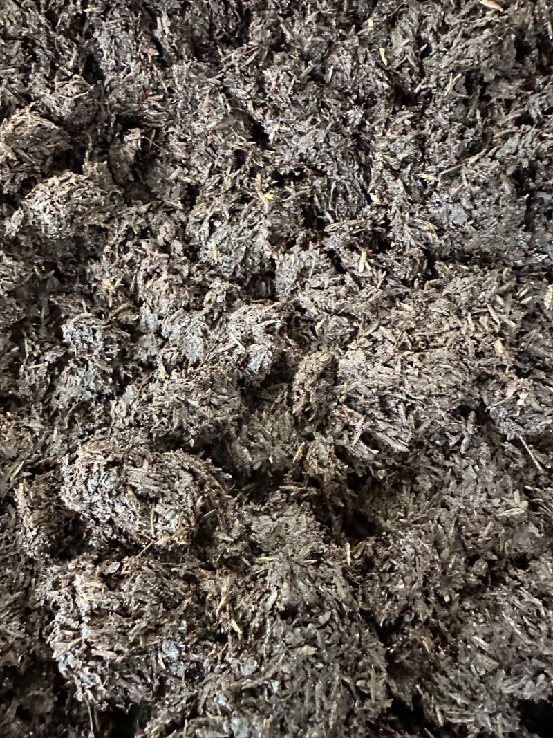 大量供应酱香型酒糟