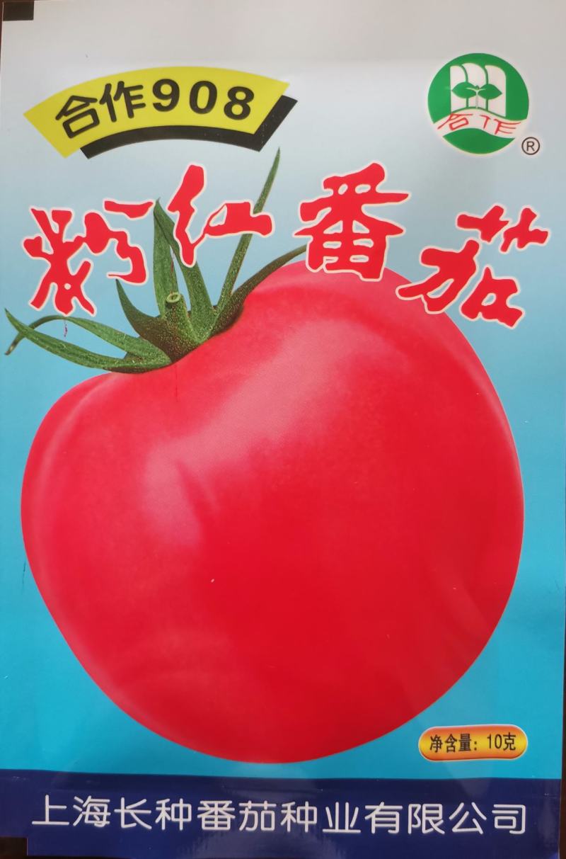 粉红番茄种子产量高色泽鲜艳口感好西红柿种子番种籽