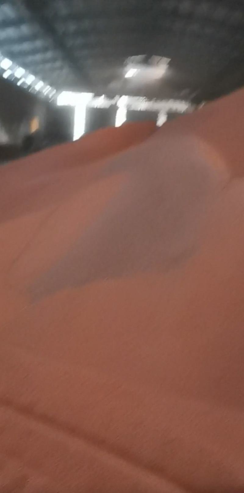 优等澳粮