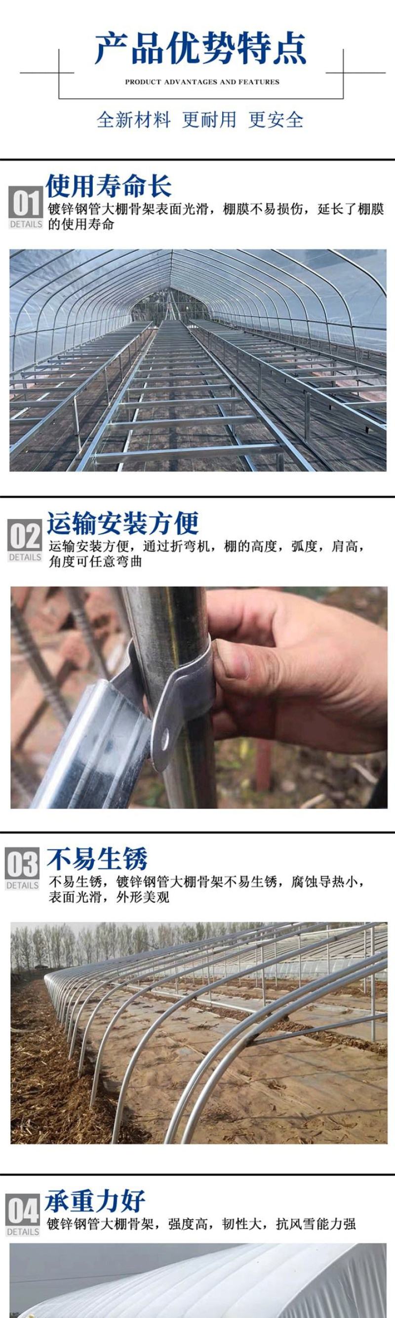 新型全钢架养殖大棚安装简单结实耐用全国发货