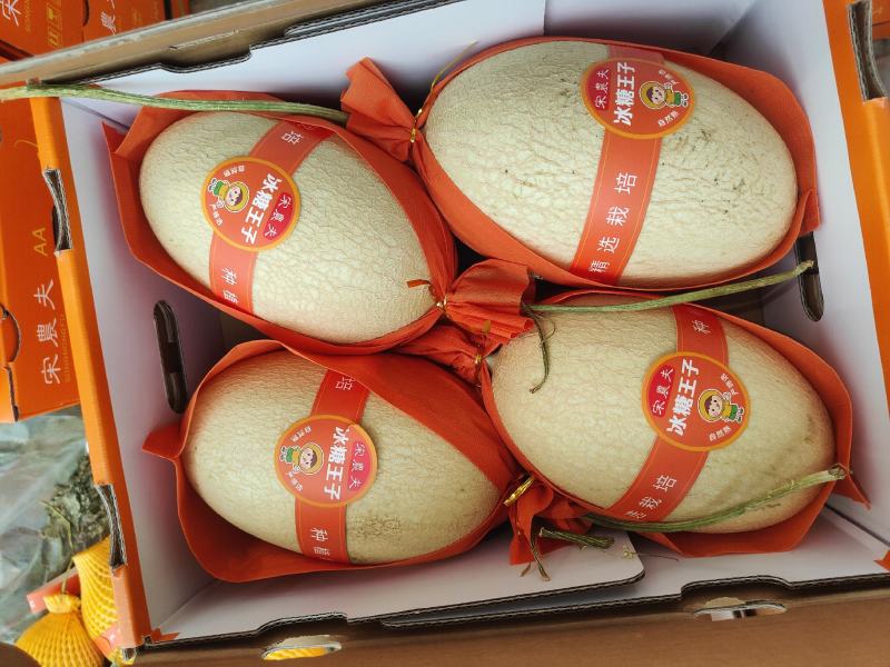 小蜜25号新品种