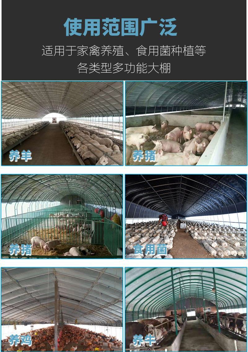 亏本清仓养殖钢架大棚全套五层覆盖全国发货包建