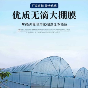 专业生产规格养殖大棚蔬菜种植大棚管型齐全全国发货