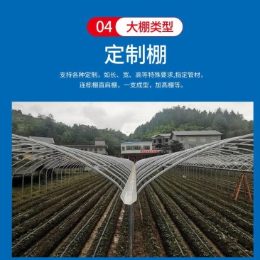 连栋棚种植果苗棚热度辛管材上门安装全国发货