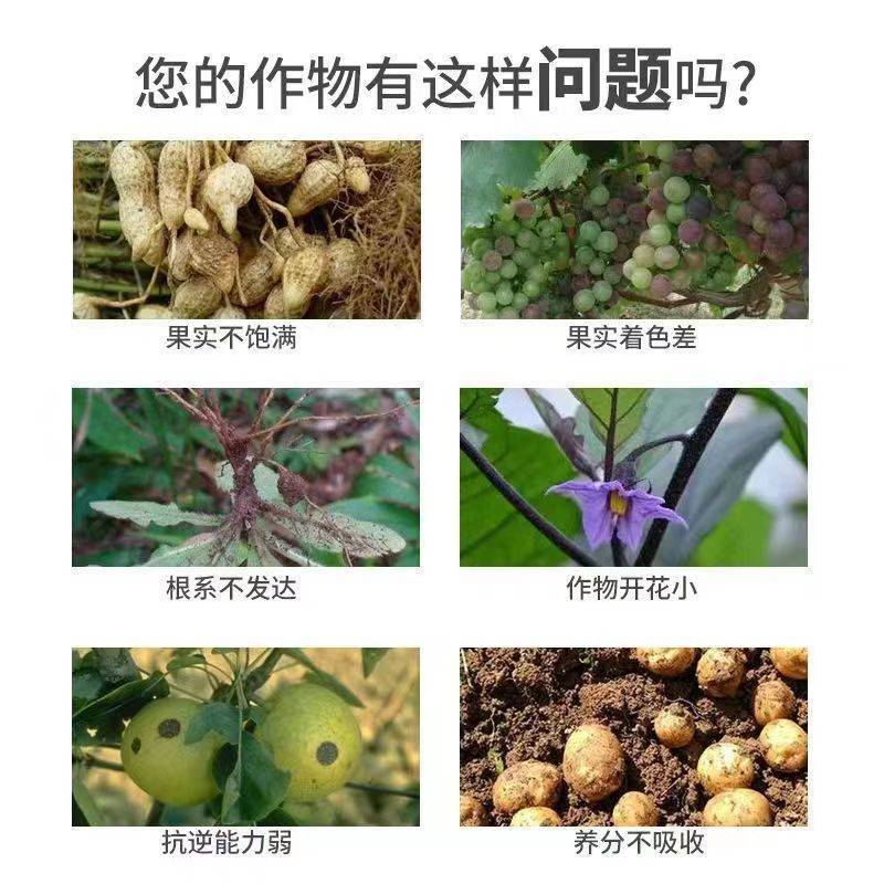 1.8复硝酚钠生长调节剂爱多收水剂生根壮苗解药害保花保果