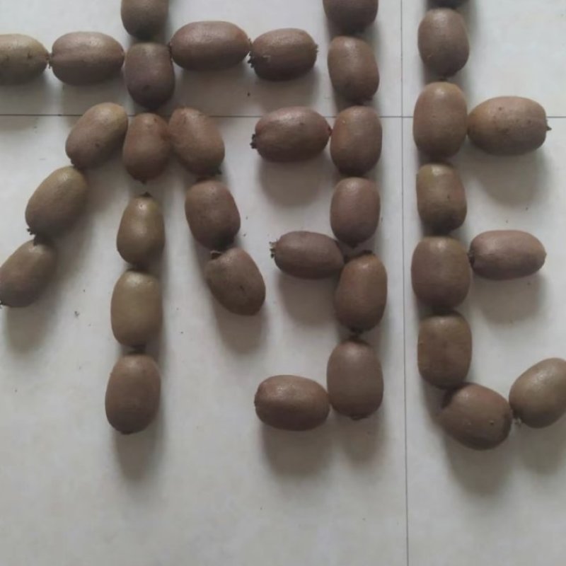 周至猕猴桃，各种**品种大量上市，有瑞玉，金福，G3，