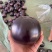 山东莘县圆茄，货多量大，持续到年底，大量供应