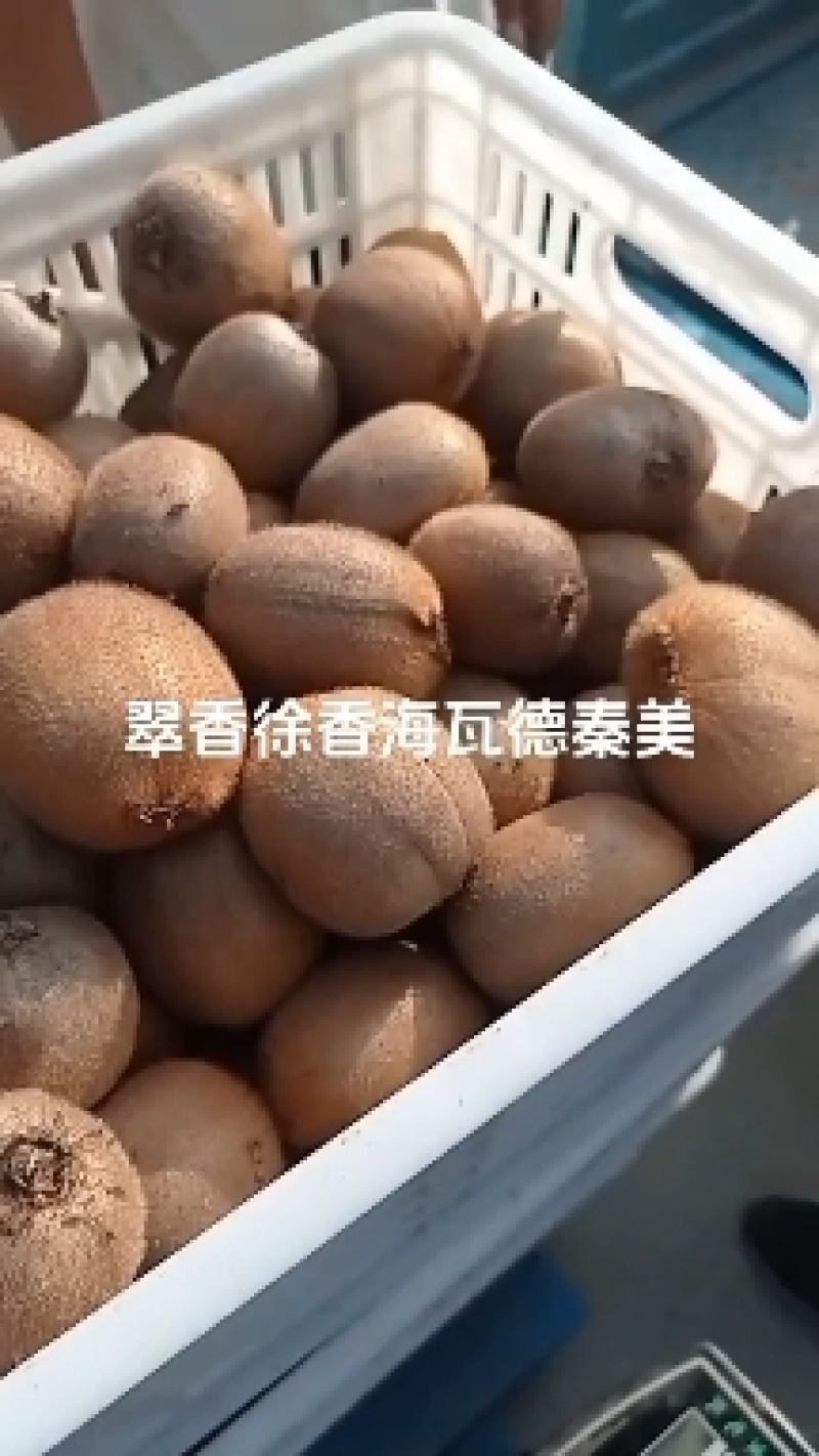 翠香徐香瑞玉商品果量大从优可一件代发，需要的联系