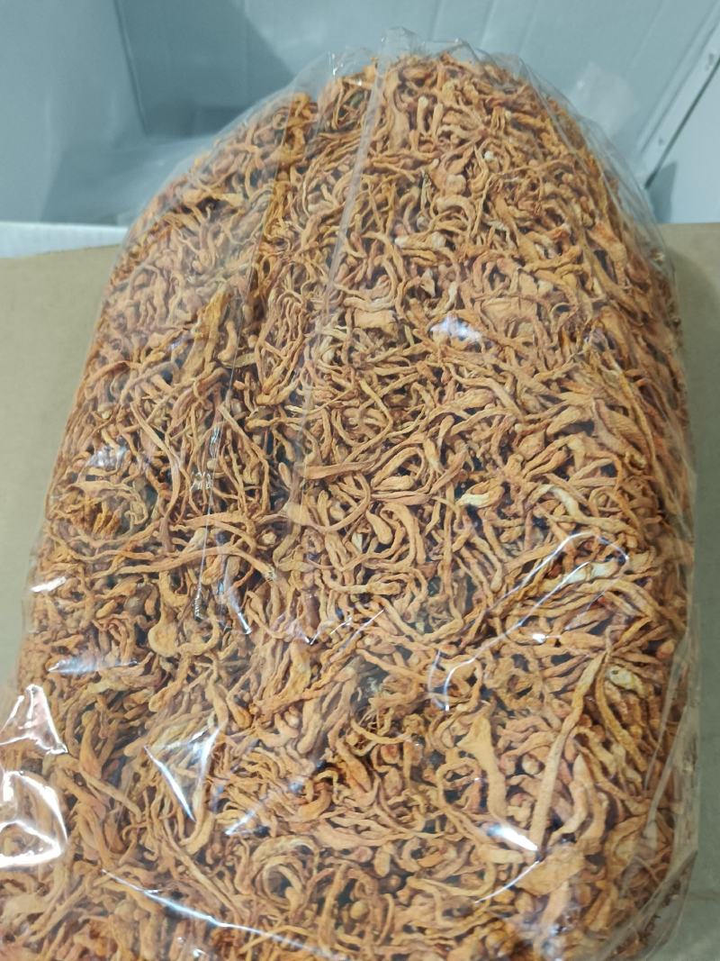 金虫草虫草花排草无硫无熏蒸本色可煲汤有现货24小时内发货
