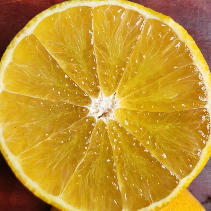 资中爱媛38号热卖中