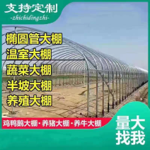 专业生产新型养殖棚蔬菜种植大棚养羊大棚全国安装