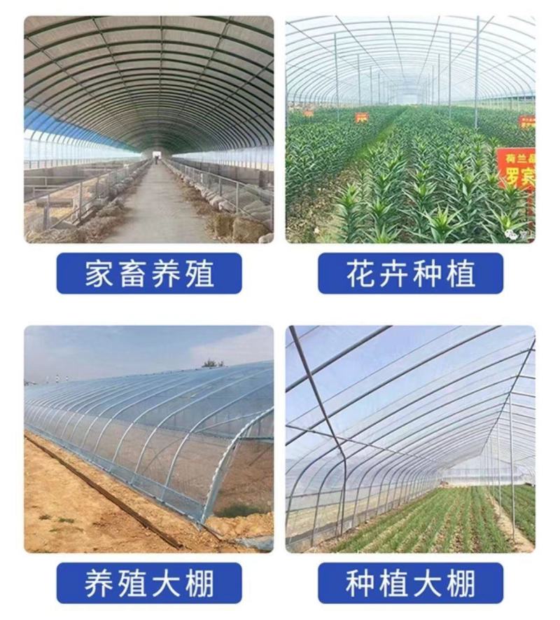 专业生产各种温室大棚钢管全国发货包建