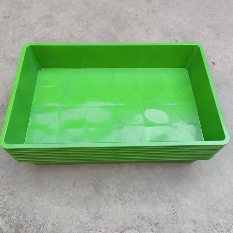 养殖盒种植盆接水收纳果盆塑料多用盆