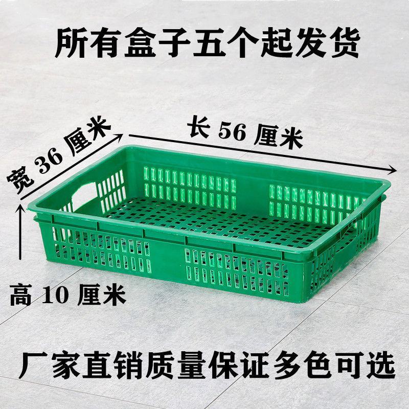 养殖盒种植盆接水收纳果盆塑料多用盆