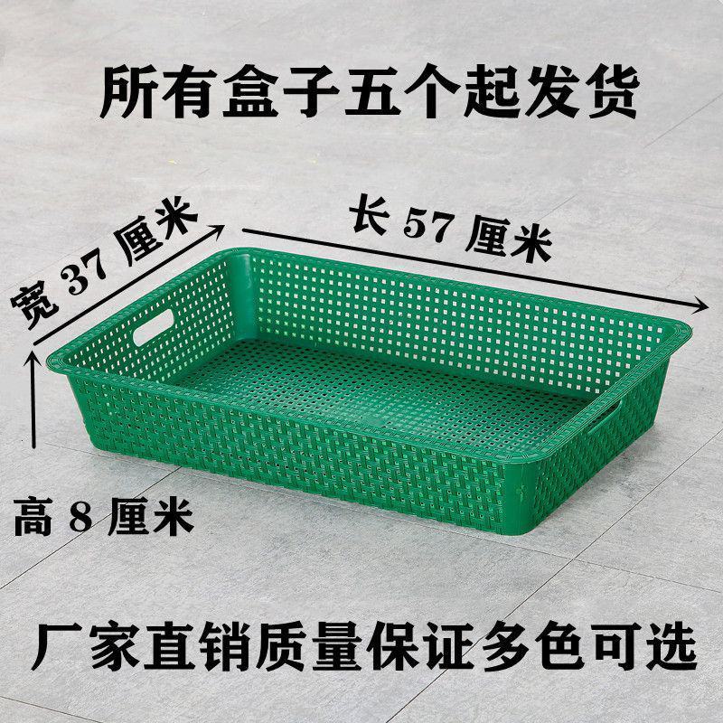 养殖盒种植盆接水收纳果盆塑料多用盆