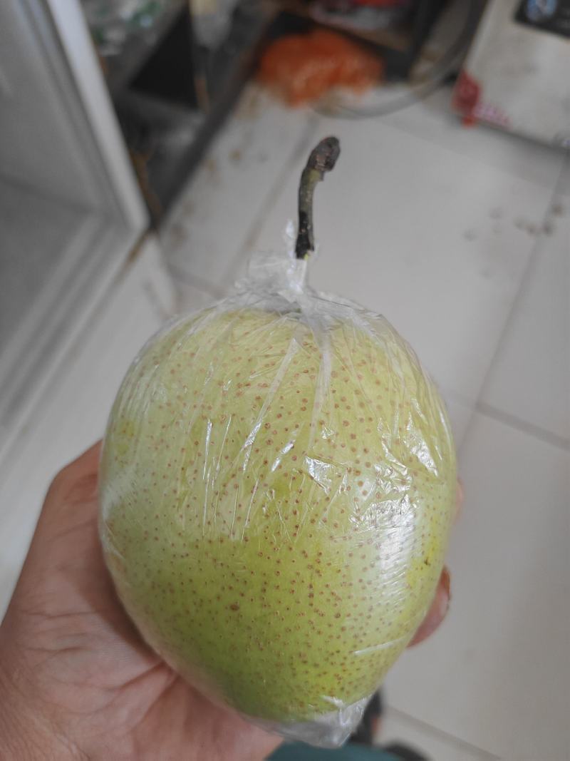 库存青皇冠梨