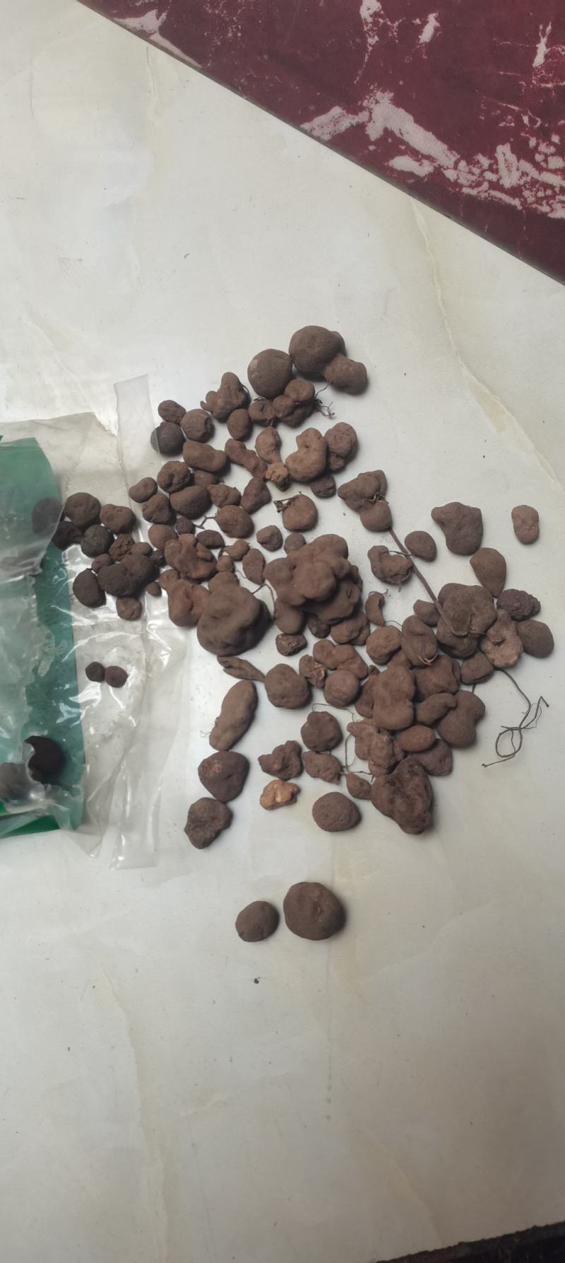 雷丸雷实干货农副产品不满意可退换货