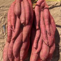 雄县西瓜红红薯新鲜上市万亩基地常年供应价格实惠