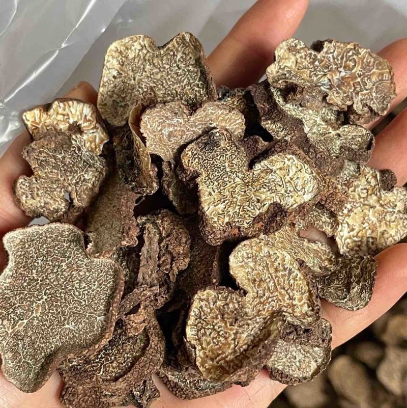 黑松露干片