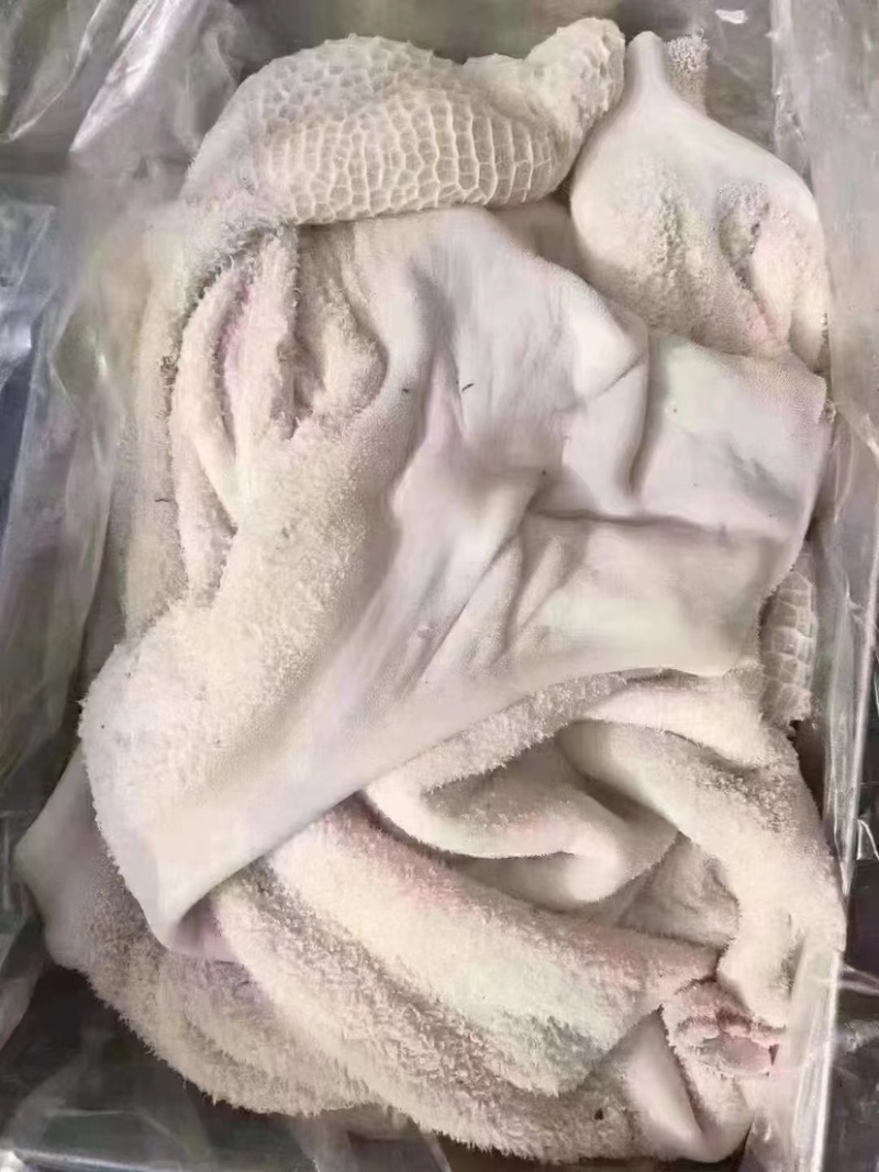 国产牛肚
