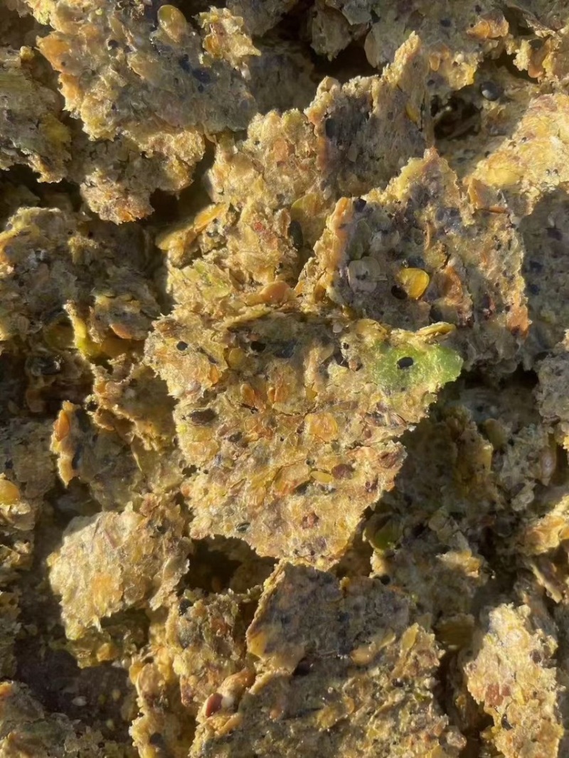 豆饼，碎豆子炒熟直接压榨不出油