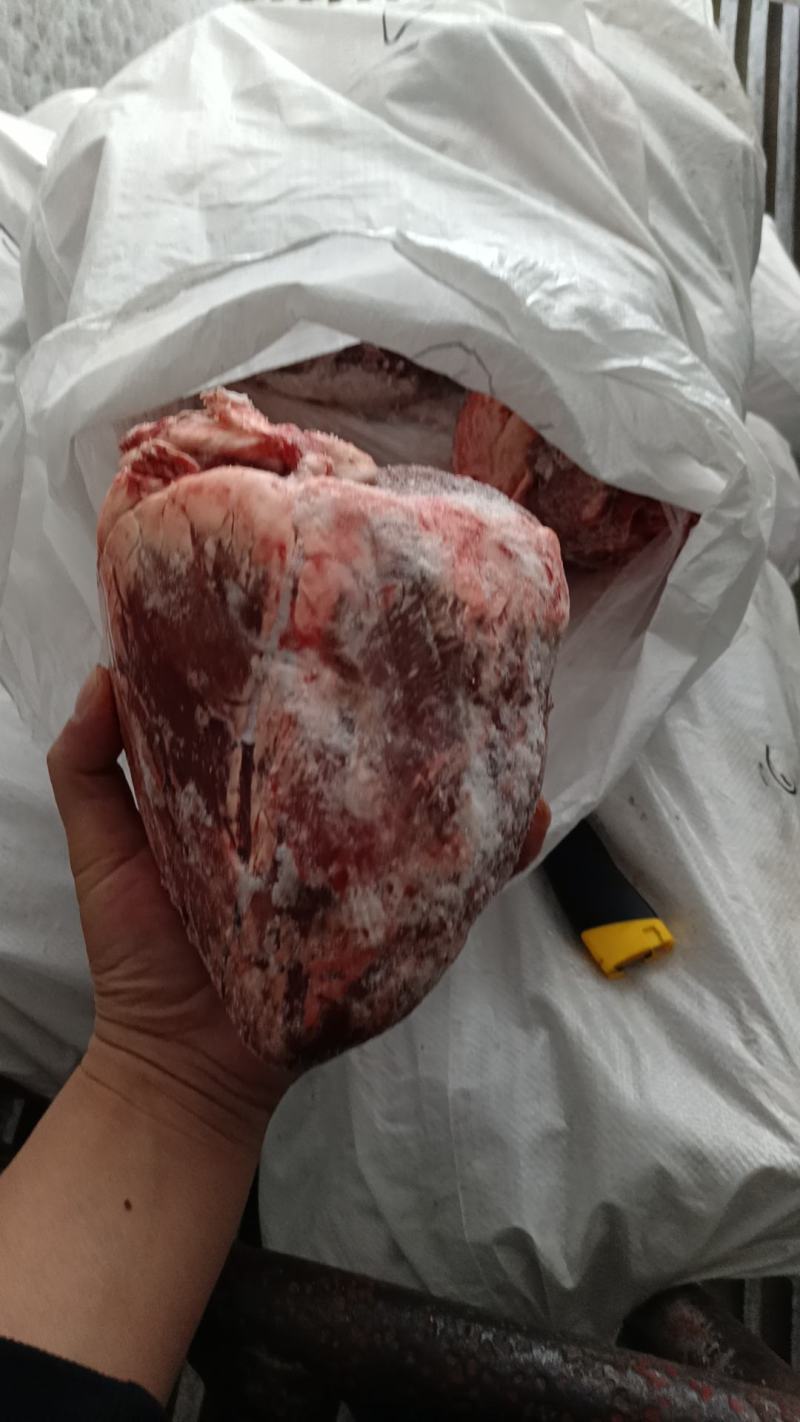长期出售各种牛副产品