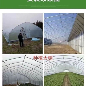 新款蔬菜棚养殖通用大棚终身质保尺寸齐全全国安装