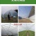 新款蔬菜棚养殖通用大棚终身质保尺寸齐全全国安装