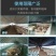 常年生产养殖钢架大棚蔬菜种植棚各种大棚管材配件全国