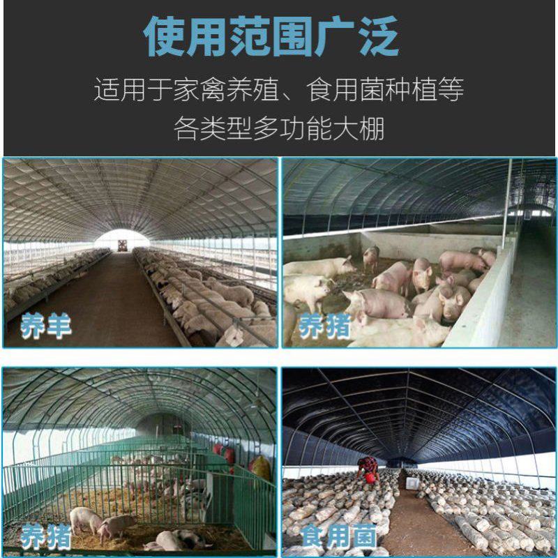 常年生产养殖钢架大棚蔬菜种植棚各种大棚管材配件全国
