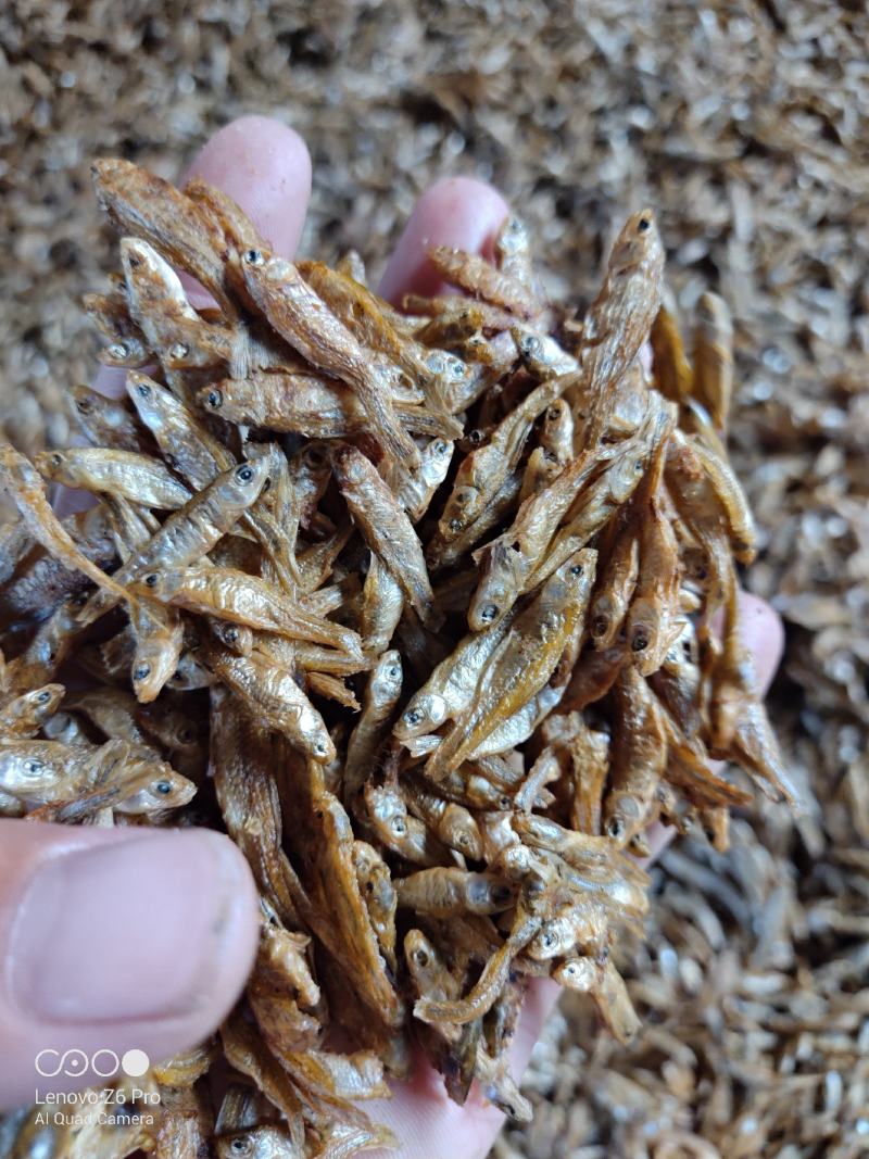 火焙鱼火焙小鱼干湖南烟熏火焙鱼柴火烤麦穗嫩子鱼