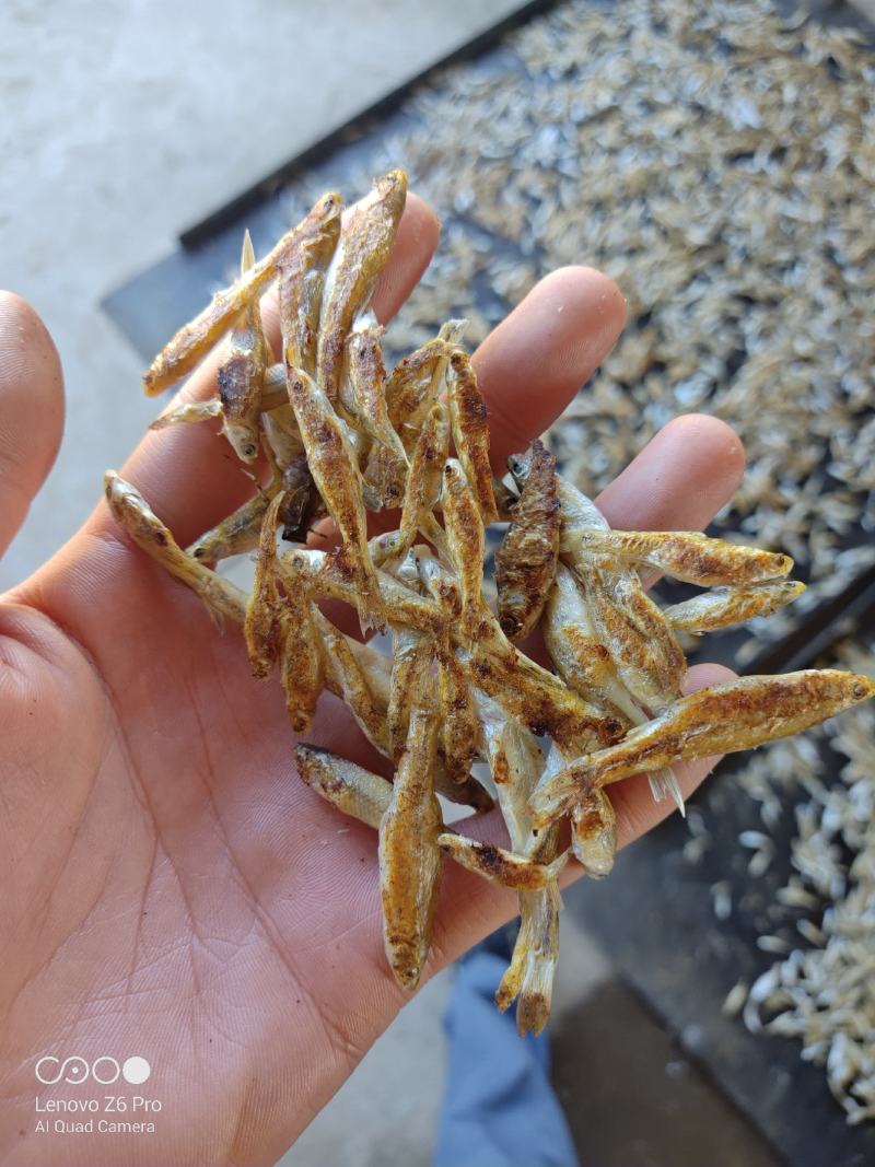 火焙鱼火焙小鱼干湖南烟熏火焙鱼柴火烤麦穗嫩子鱼