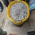 黑龙江麦穗鱼456公分冷冻麦穗鱼油炸麦穗鱼原料