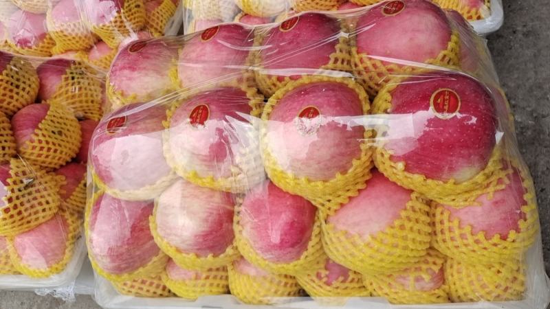 红富士苹果