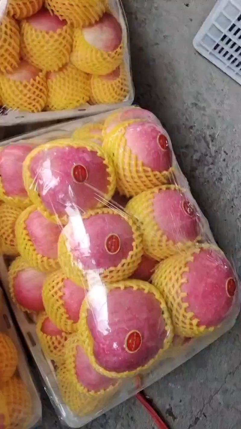 红富士苹果