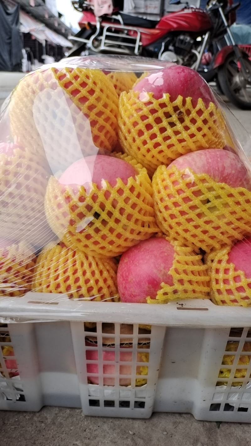 红富士苹果