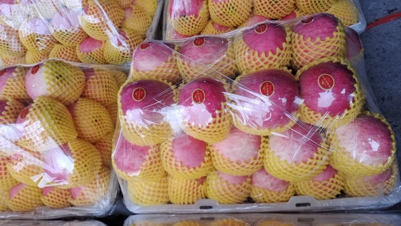 红富士苹果