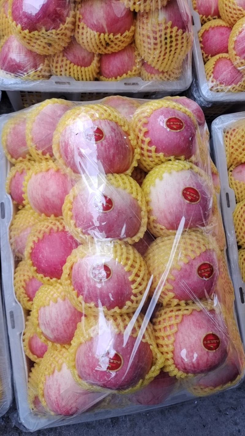 红富士苹果