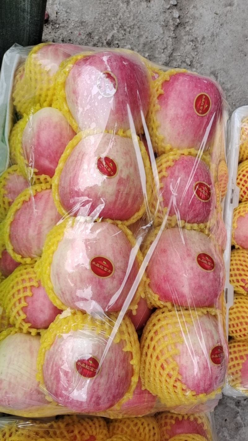 红富士苹果