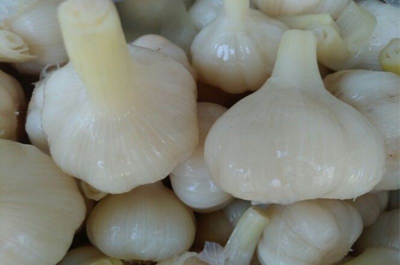 【糖蒜】白玉糖蒜腌泡大蒜头糖醋酸甜整箱18斤自制农家甜蒜