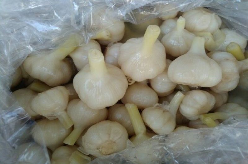 【糖蒜】白玉糖蒜腌泡大蒜头糖醋酸甜整箱18斤自制农家甜蒜