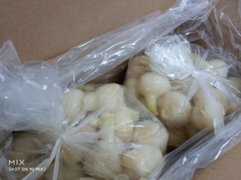 【糖蒜】白玉糖蒜腌泡大蒜头糖醋酸甜整箱18斤自制农家甜蒜