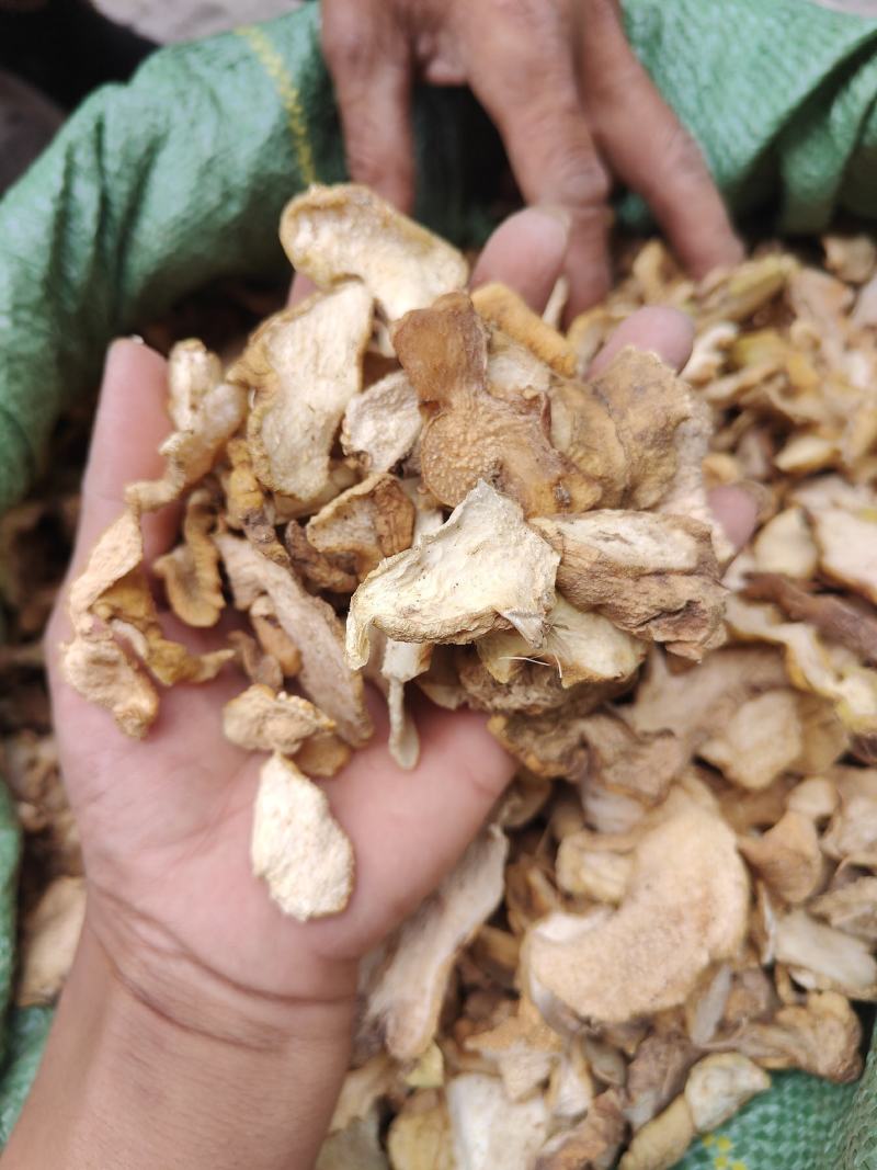 云南普洱滇黄精_野生滇黄精干片