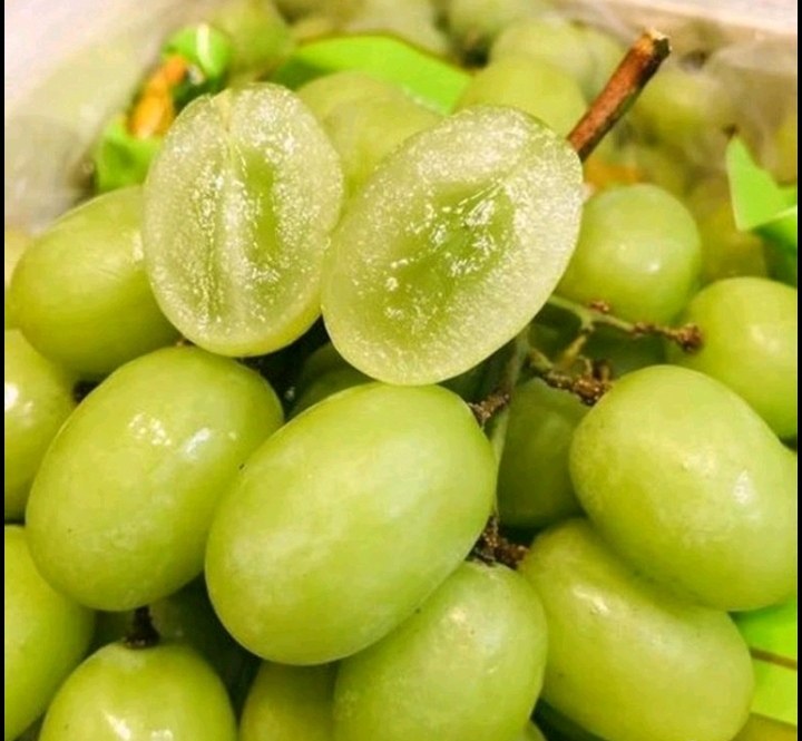 马奶青提特写